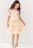 Next Embellished Flower Mesh Dress Girls