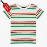 Next Pack Of 4 Value Packs Multicoloured Short Sleeve T Shirts Boys