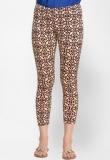 Oxolloxo Brown Printed Legging Women