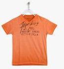 Pepe Jeans Orange Regular Fit T Shirt boys