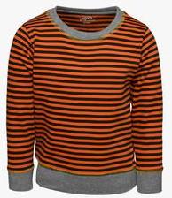 Pepito Orange Sweatshirt boys