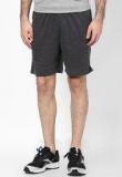 Proline Grey Shorts men