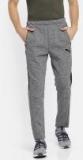 Puma Grey Slim Fit Evostripe Track Pants Men