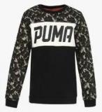 Puma Style Crew Sweat Ii Olive Nightaop Multicoloured Sweatshirt boys