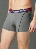 Roadster Grey Solid Trunk Men