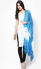 Ruhaans Blue Printed Dupattas women