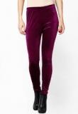 Sakhi Sang Violet Indigo Solid Legging Women