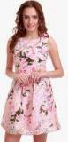 Sassafras Pink Coloured Printed Skater Dress women