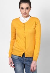 Species Yellow Solid Sweater Women