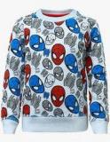 Spiderman Multicoloured Sweater boys