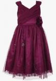 The Cranberry Club Maroon Casual Frock Girls