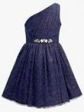 The Cranberry Club Navy Blue Party Dress Girls