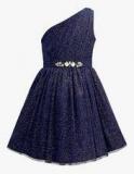 The Cranberry Club Navy Blue Party Frock Girls