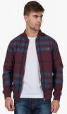 The Indian Garage Co Wine Striped Slim Fit Jacket Men