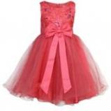 Tiny Girl Pink Party Dress Girls