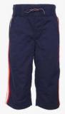 Tommy Hilfiger Navy Blue 3/4Ths Boys