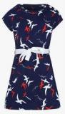 Tommy Hilfiger Navy Blue Casual Dress Girls