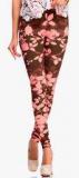 Toscee Multicoloured Printed Legging Women