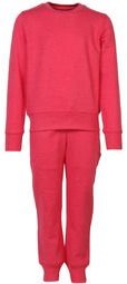 Tshirt Company Kids Pink Track Suit Boys