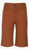 U S Polo Assn Brown Shorts Boys