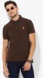 U S Polo Assn Brown Solid Regular Fit Polo T Shirt men