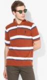 U S Polo Assn Brown Striped Polo Collar T Shirt Men