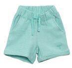 U S Polo Assn Kids Green Solid Regular Fit Regular Shorts Girls