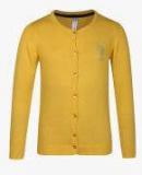 U S Polo Assn Kids Yellow Solid Sweater Girls