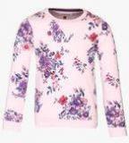 U S Polo Assn Pink Sweatshirt Girls