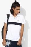 U S Polo Assn White Solid Polo Collar T Shirt Men