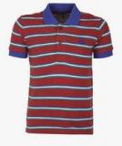 United Colors Of Benetton Maroon Polo Shirt boys