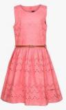 Vitamins Pink Party Dress With Belt girls