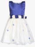 Winakki Kids Blue Party Dress girls