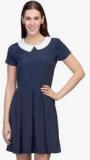 Wisstler Navy Blue Colored Solid Skater Dress Men