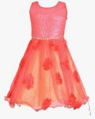 Aarika Pink Party Frock girls