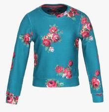 Allen Solly Junior Blue Sweatshirt girls