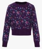 Allen Solly Junior Purple Sweater Girls