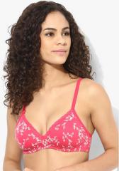 Amante Fuchsia Printed Padded Bra women