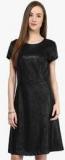 Avirate Black Colored Solid Skater Dress women