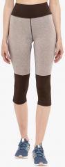 Chkokko Brown Beige Colourblocked Skinny Fit Capri women