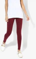 De Moza Maroon Printed Leggings women