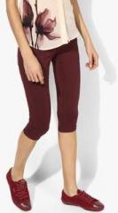 Deal Jeans Wine Solid Capri women