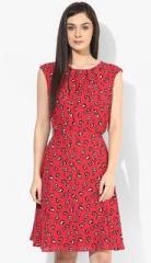 Dorothy Perkins Billie & Blossom Red Poppy Print Dress women