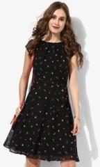 Dorothy Perkins Black Coloured Printed Shift Dress women