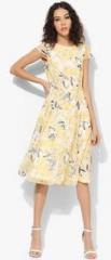 Dorothy Perkins Floral Printed Fit And Flare women