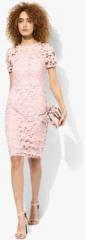 Dorothy Perkins Heavy Lace Pencil Dress women