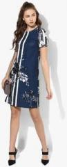 Dorothy Perkins Navy Blue Coloured Printed Shift Dress women