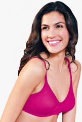 Enamor Magenta Solid Padded T Shirt Bra women