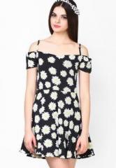 Faballey Black Printed Skater Dress women