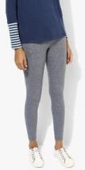 Fox Grey Solid Leggings women